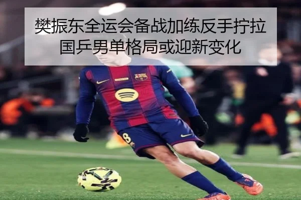 樊振东全运会备战加练反手拧拉 国乒男单格局或迎新变化